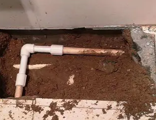 永安测漏水哪家好