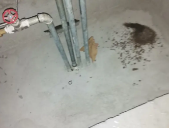 永安卫生间测漏水价格明细