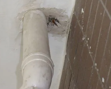 永安漏水检测哪家好